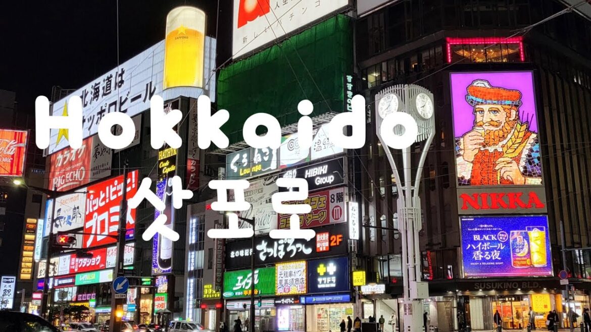 홋카이도 삿포로 겨울여행 ep.1 ☃️ 인천공항라운지 • JR 티켓팅 방법 • 스스키노 야경 • 니카상 • 여행 경비 / 일본 여행 브이로그