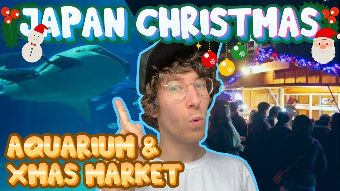 My FIRST Christmas in Japan! Osaka Aquarium and Christmas Market!