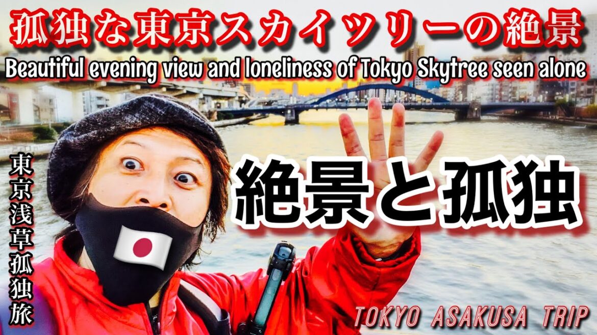 孤独な東京スカイツリー!ぼっちクリスマス!スマホで現実逃避の浅草観光。富士山の絶景をひとりぼっちで見る東京日帰り観光。Beautiful Mount Fuji and Tokyo Sky Tree! 孤独な東京スカイツリー!ぼっちクリスマス!スマホで現実逃避の浅草観光。富士山の絶景をひとりぼっちで見る東京日帰り観光。Beautiful Mount Fuji and Tokyo Sky Tree!