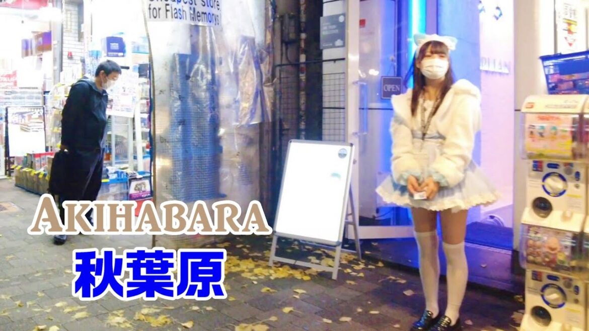 【4K Tokyo Walk】Akihabara Walk　秋葉原散歩　아키하바라　อากิฮาบาระ　　【東京散歩】2022/12/22