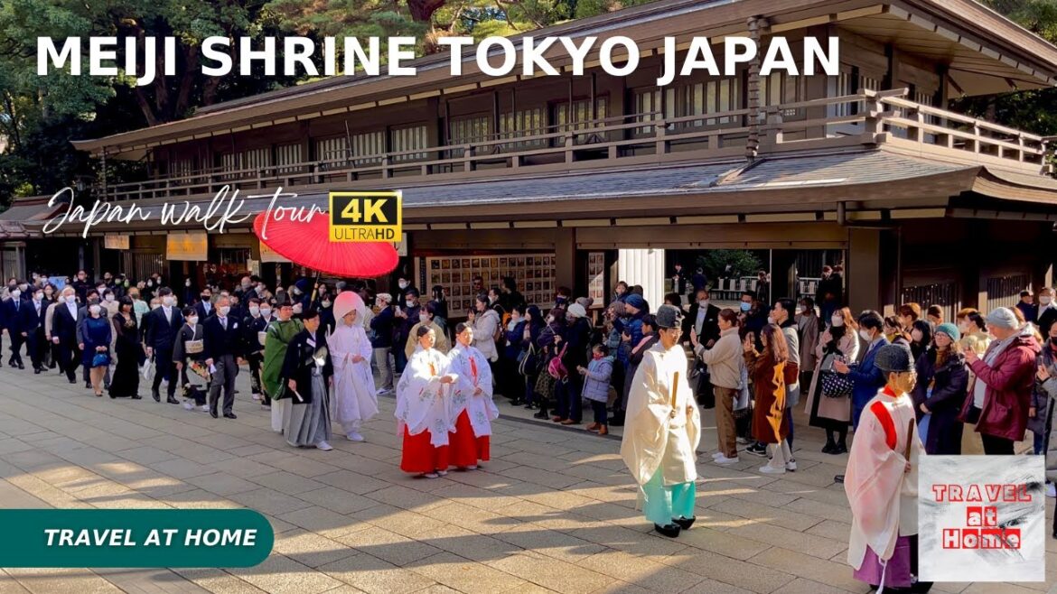 4k hdr japan walk | Walk in Meiji Shrine Tokyo japan | Encounter a traditional Japanese wedding 4k hdr japan walk | Walk in Meiji Shrine Tokyo japan | Encounter a traditional Japanese wedding