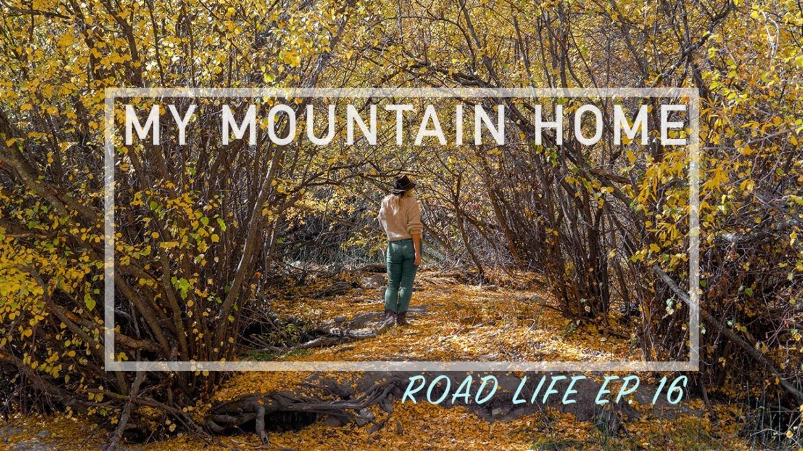 My Home in the Mountains | Road Life Ep. 16 My Home in the Mountains | Road Life Ep. 16