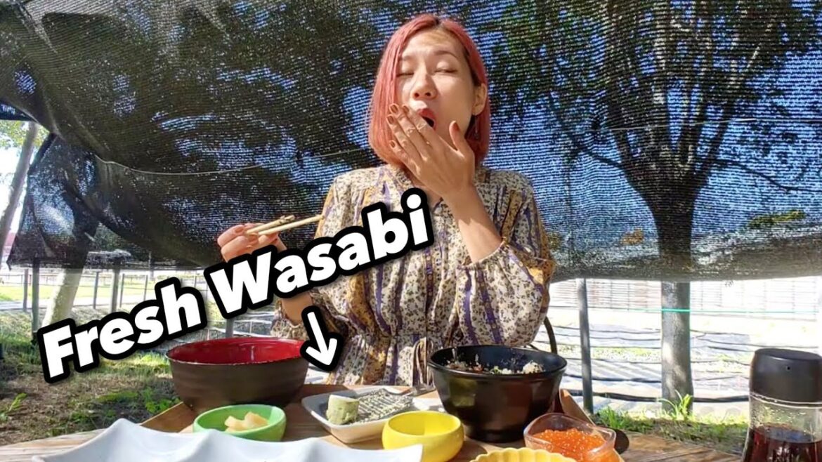 Travel to Nagano #6☆ The Best WASABI FARM in Japan!♪ Japan vlog