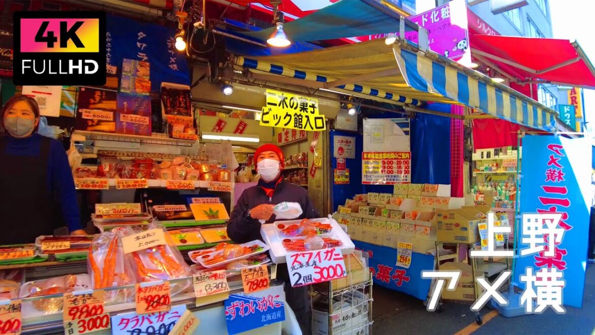 【4K】師走の上野アメ横を散歩 | Take a walk in Ueno Ameyoko shopping street on holidays. (Dec. 2022)