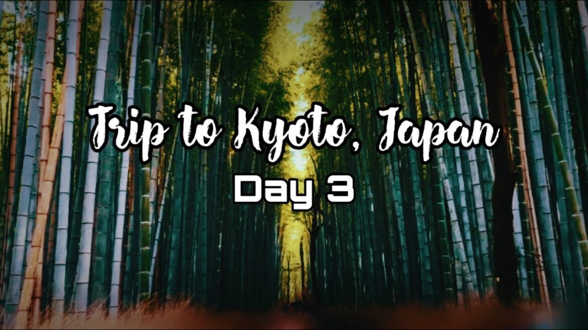 Trip to Kyoto, Japan (Day 3)
