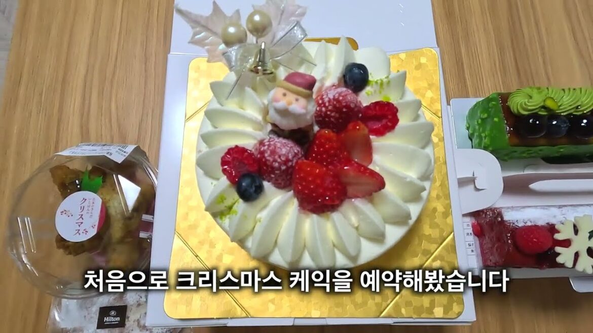 [일본 여행] 자전거 타고 크리스마스 케익을 사러갑니다 4K JAPAN NAGOYA BICYCLE