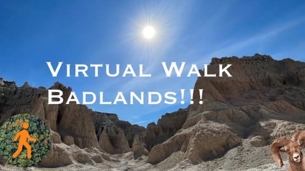 What is Badlands National Park like? - 4K - Bighorn Sheep Sighting!  South Dakota