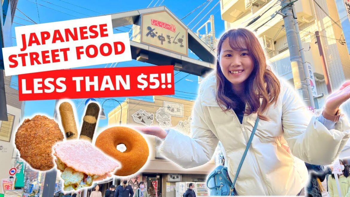 ALL LESS THAN $5 !! The Best Japanese STREET FOOD Alley in Tokyo!!! | Nippori |