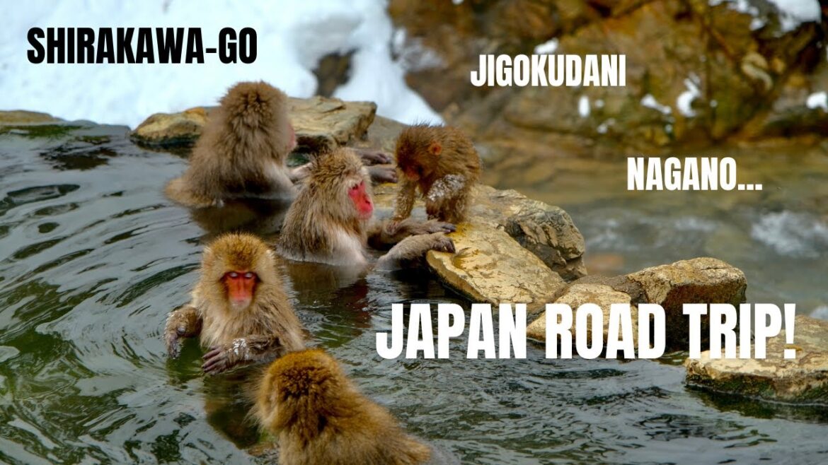 Road Trip Japan - Shirakawa-go - Jigokudani - Nagano - Matsumoto - Gero Onsen - Nara