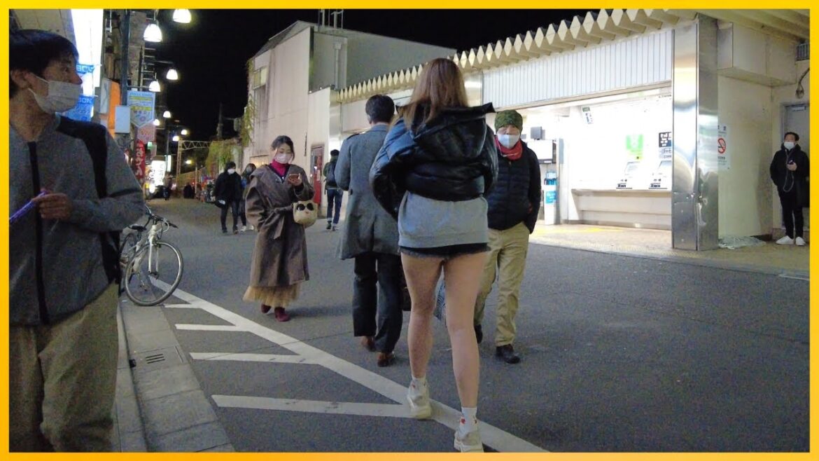 4K 60, Uguisudani(鶯谷) Hotel Zone Night Life | Tokyo Night Walk | December,18 4K 60, Uguisudani(鶯谷) Hotel Zone Night Life | Tokyo Night Walk | December,18