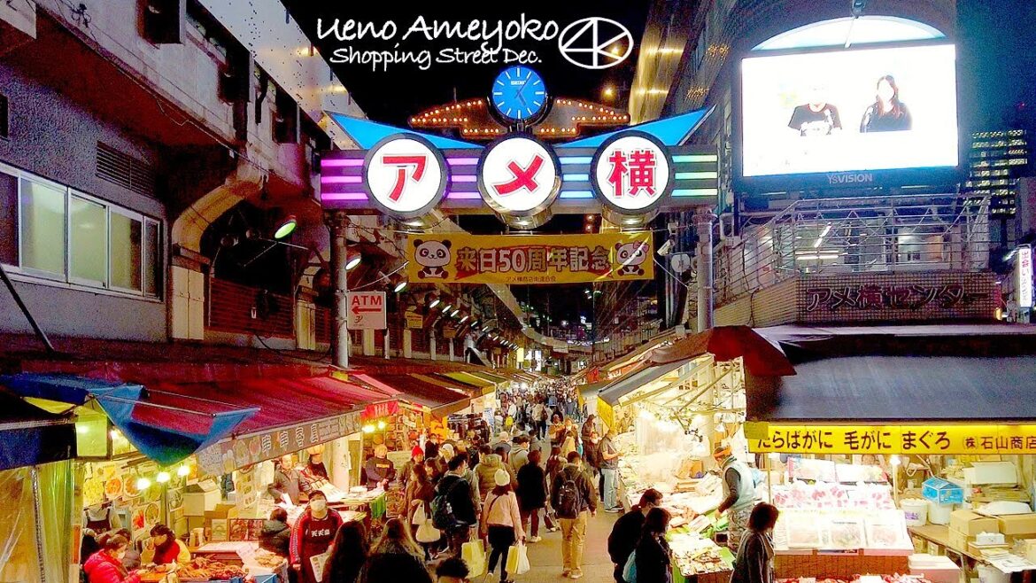 4K 上野アメ横商店街 2022年 摩利支天徳大寺 上野駅 ガード下店 東京 Japan