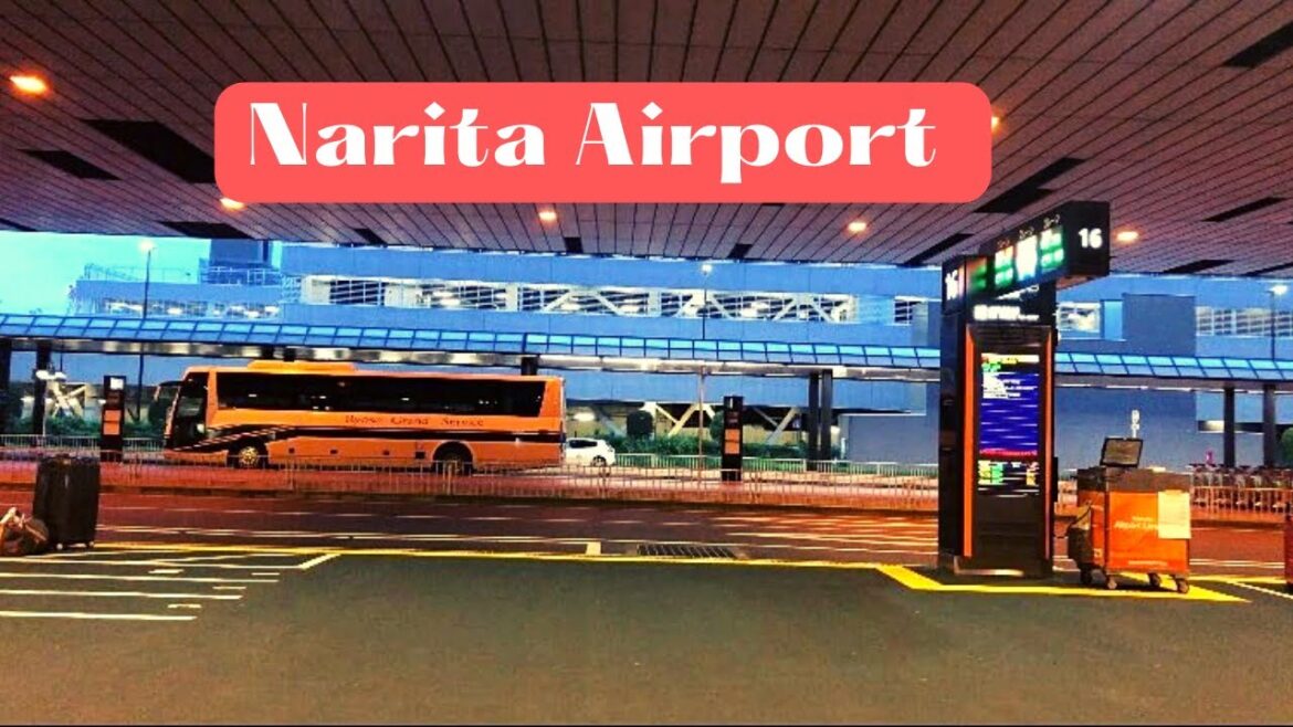 NAIA Airport To Narita Airport Terminal 3 Step By Step Procedure | Liz Calim