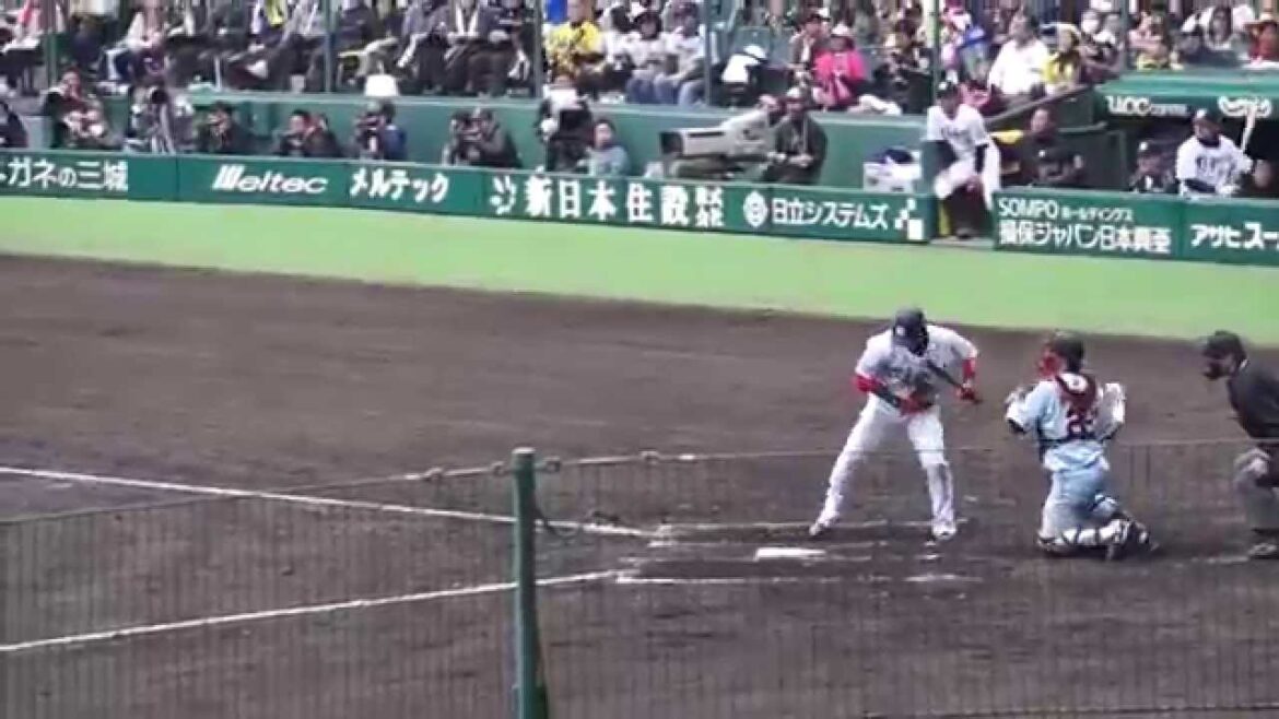 Hanshin Tigers Japanese Baseball Hanshin Tigers Japanese Baseball