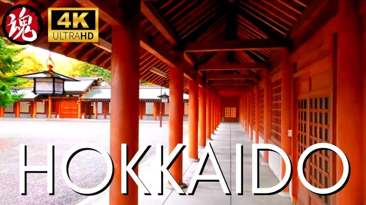 Beautiful Autumn Colors Japan | Sapporo Hokkaido Beautiful Autumn Colors Japan | Sapporo Hokkaido