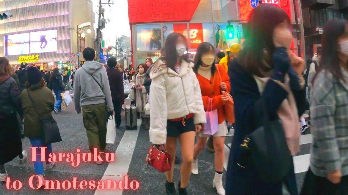 Harajuku to Omotesando Tokyo, in Japan walking tour.【4K】12.2022