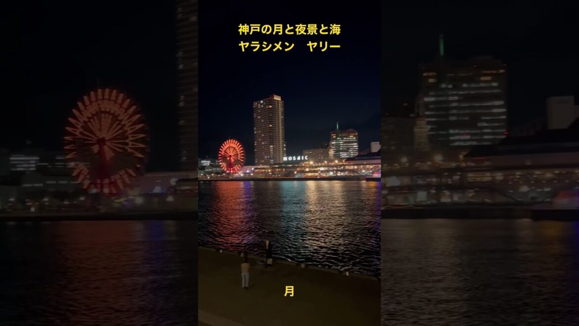 兵庫県神戸市月と夜景と海を観る #ベイクルーズ #神戸 #兵庫県 #景色 #夜景 #イルミネーション #素敵 #ライトアップ #海 #綺麗 #おすすめ  #ヤラシメン #ヤリー #shorts