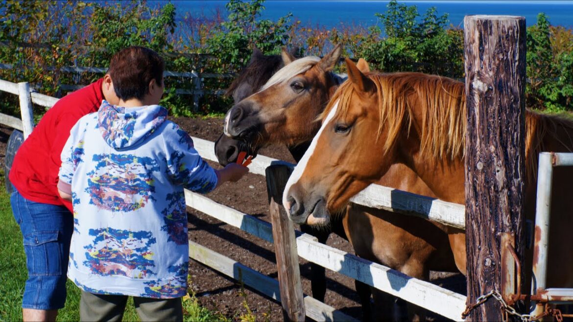 2015北海道ドライブ 2日目
