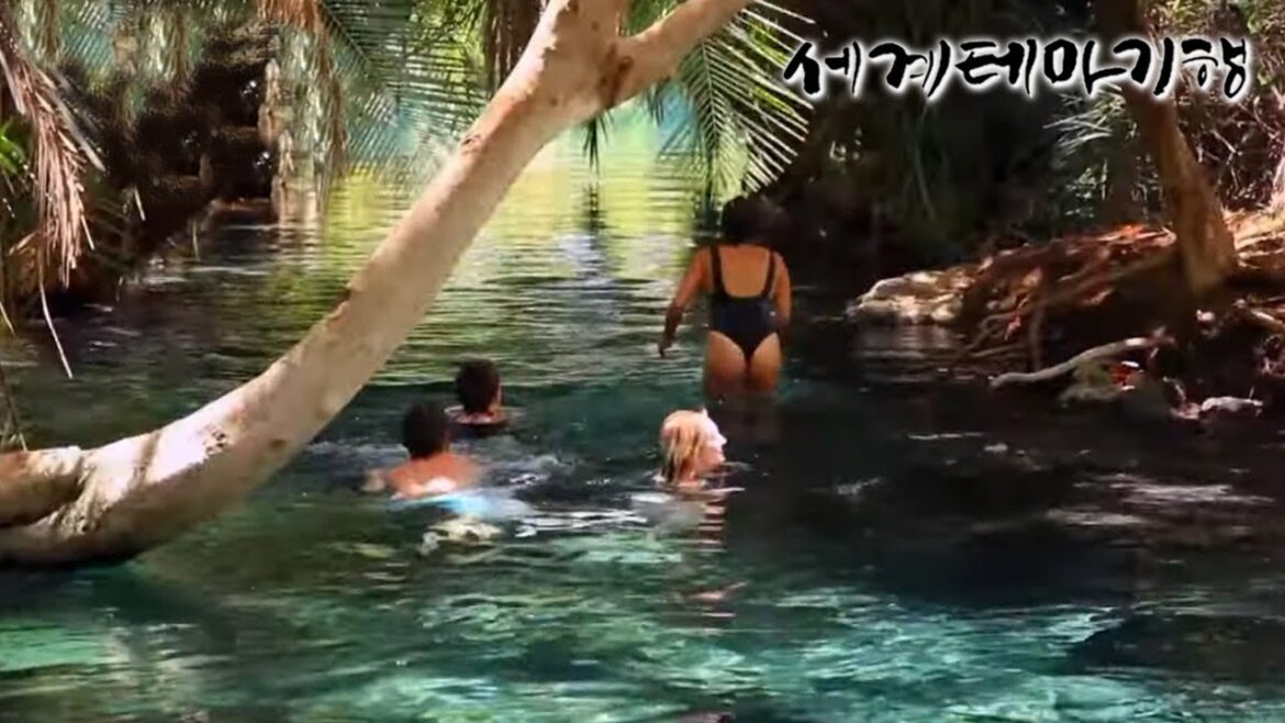 세계테마기행 – 아프리카 버킷리스트, 탄자니아- 하쿠나마타타! 킬리만자로_#003 세계테마기행 - 아프리카 버킷리스트, 탄자니아- 하쿠나마타타! 킬리만자로_#003