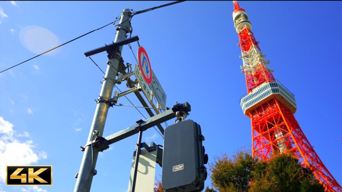 [4K HDR] Tokyo Tower -  Day in Autumn 2022