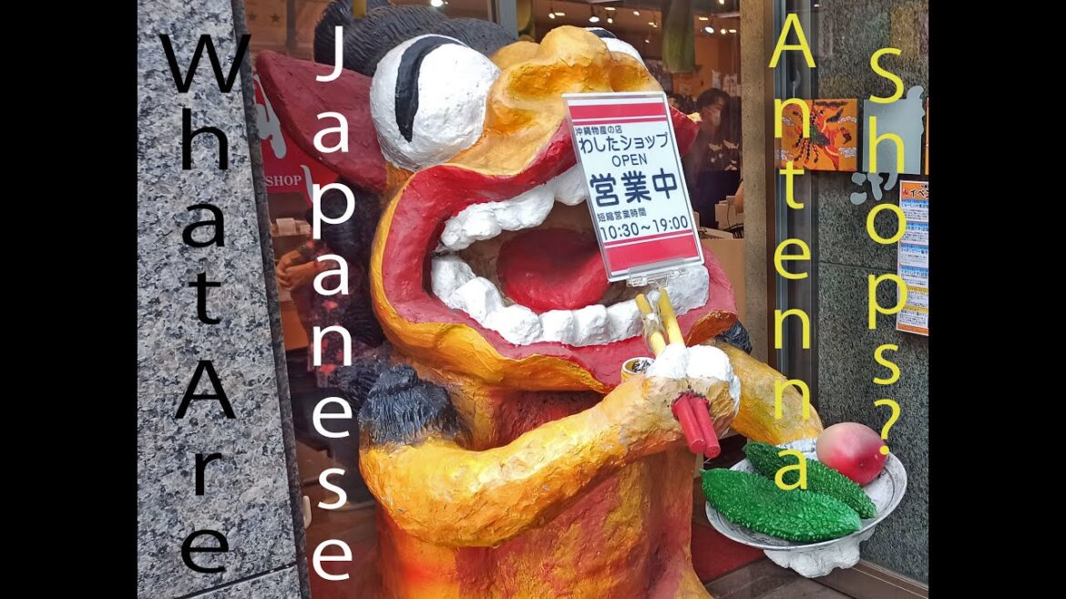 Antenna Shops: the Hidden Treasures of the Japanese Food Scene Antenna Shops: the Hidden Treasures of the Japanese Food Scene