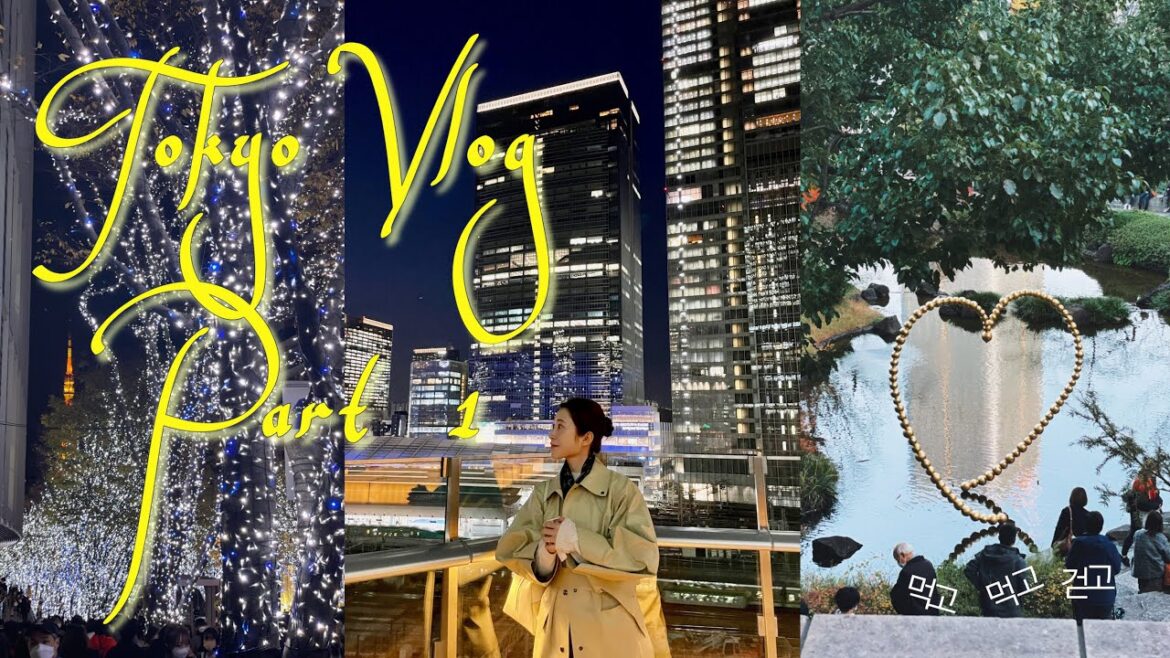 Tokyo Vlog l Holiday season in Tokyo. Travel. Japanese food. (Part 1-1)