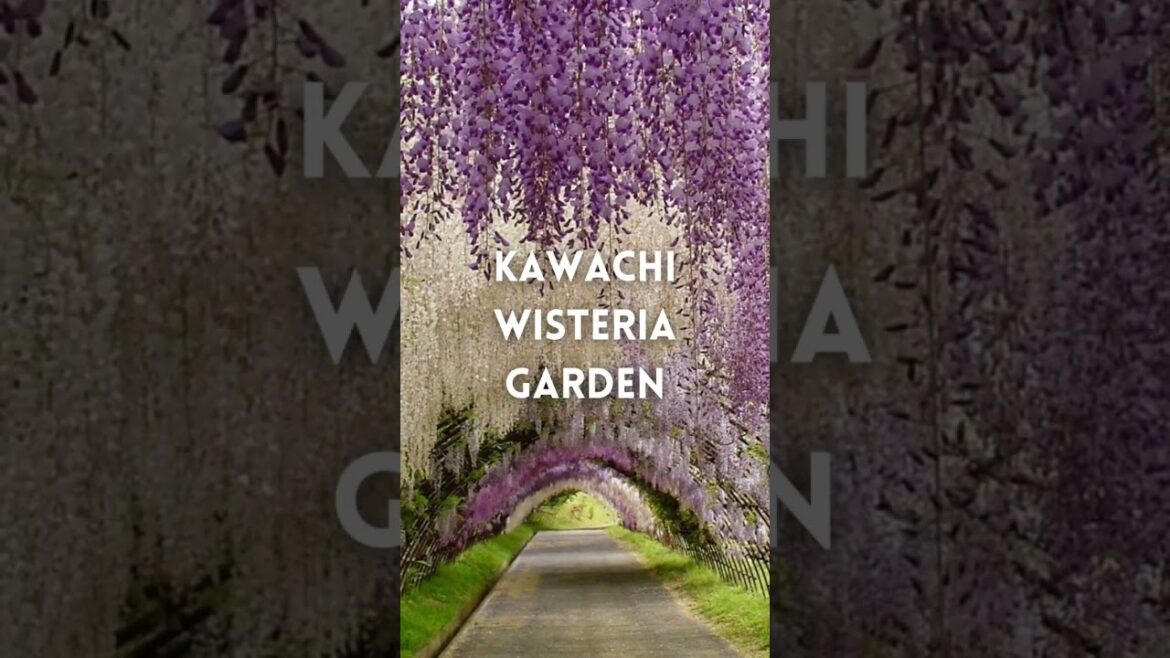 Most Beautiful Unreal places in Japan - #japantourism #aestheticgala