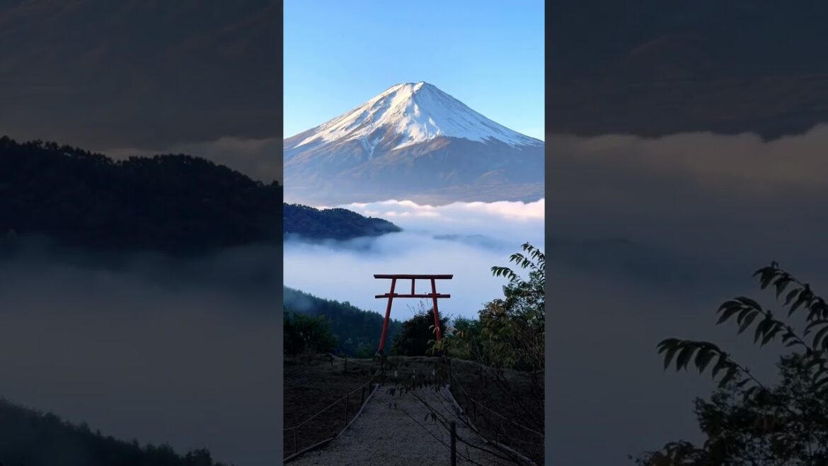 Mt Fuji and sea of clouds Instagram:synchronicity222