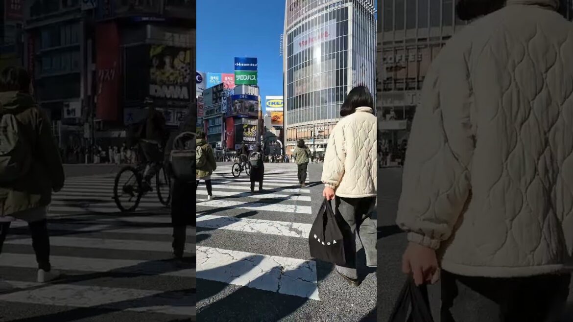 S034) Shibuya in Tokyo, Japan. Camera: GFX100S, Lens: GF32-64mmF4, Video: GoPro10 #shorts S034) Shibuya in Tokyo, Japan. Camera: GFX100S, Lens: GF32-64mmF4, Video: GoPro10 #shorts