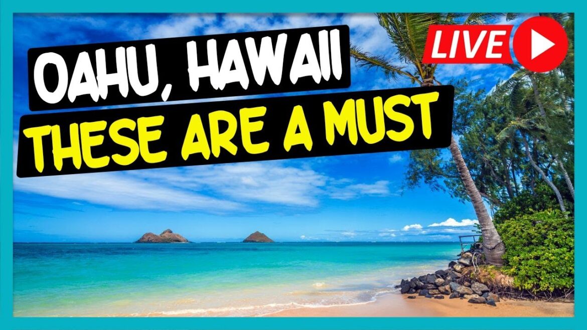 FIRST TIME To Hawaii? DO THESE | 100% JBO APPROVED!