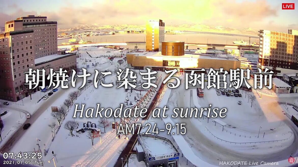 【Clips】朝焼けに染まる函館駅前<18倍速> Hakodate at sunrise 【Clips】朝焼けに染まる函館駅前<18倍速> Hakodate at sunrise