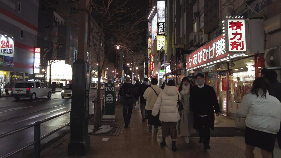【4K】クリスマスイブのすすきの 散策 2022 日本 北海道 札幌 中央区【Binaural Audio】 【4K】クリスマスイブのすすきの 散策 2022 日本 北海道 札幌 中央区【Binaural Audio】