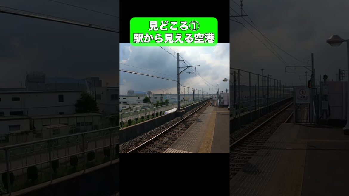 日本一短い鉄道が千葉県にありました #芝山鉄道 #shorts