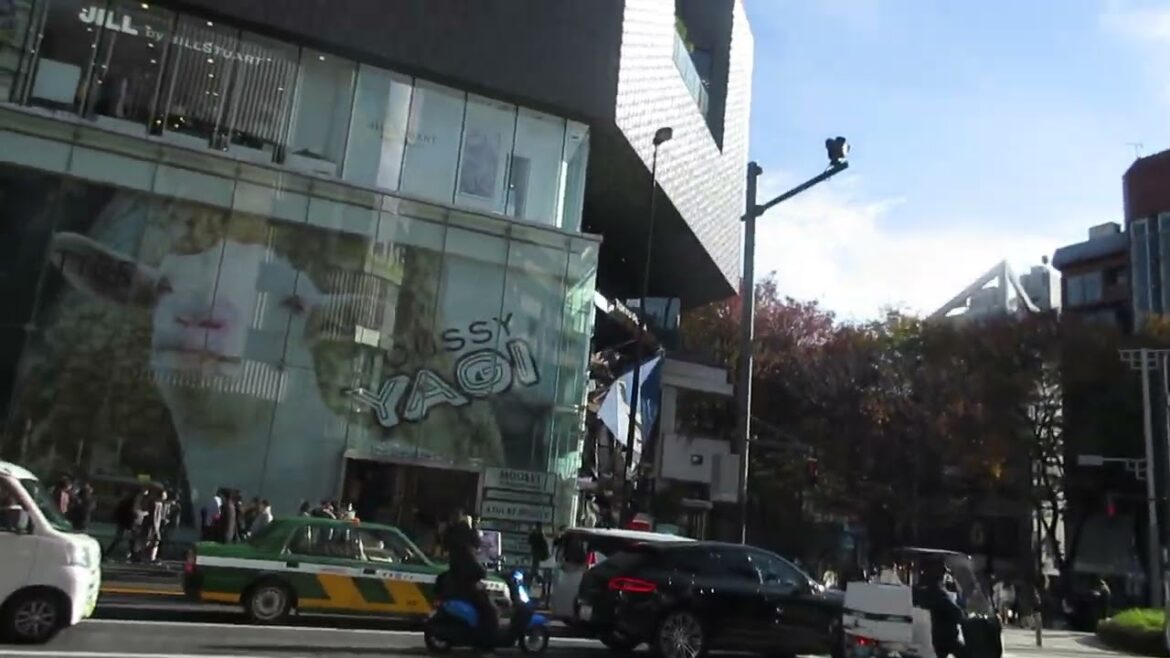 #harajuku walking promenade ... no battery aiee