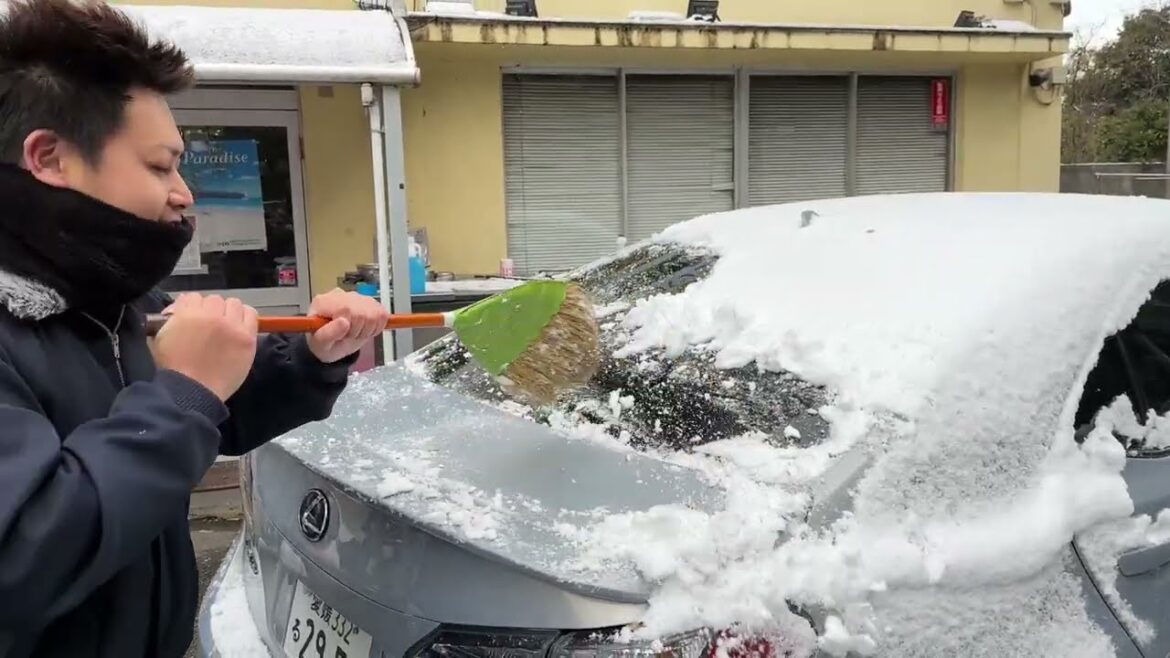 愛媛の日常をお伝えします(雪掻き)