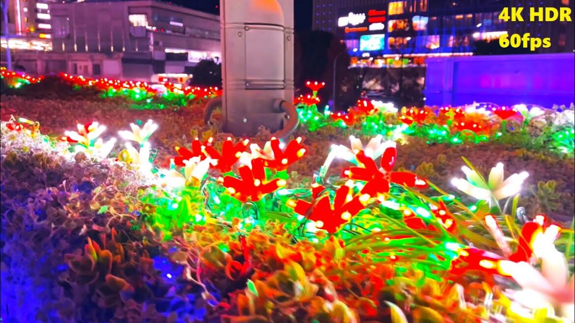 4K HDR/60fps【神戸市内⭐️イルミネーション/神戸ハーバーランド周辺～JR三ノ宮駅/2022】12/22(木)