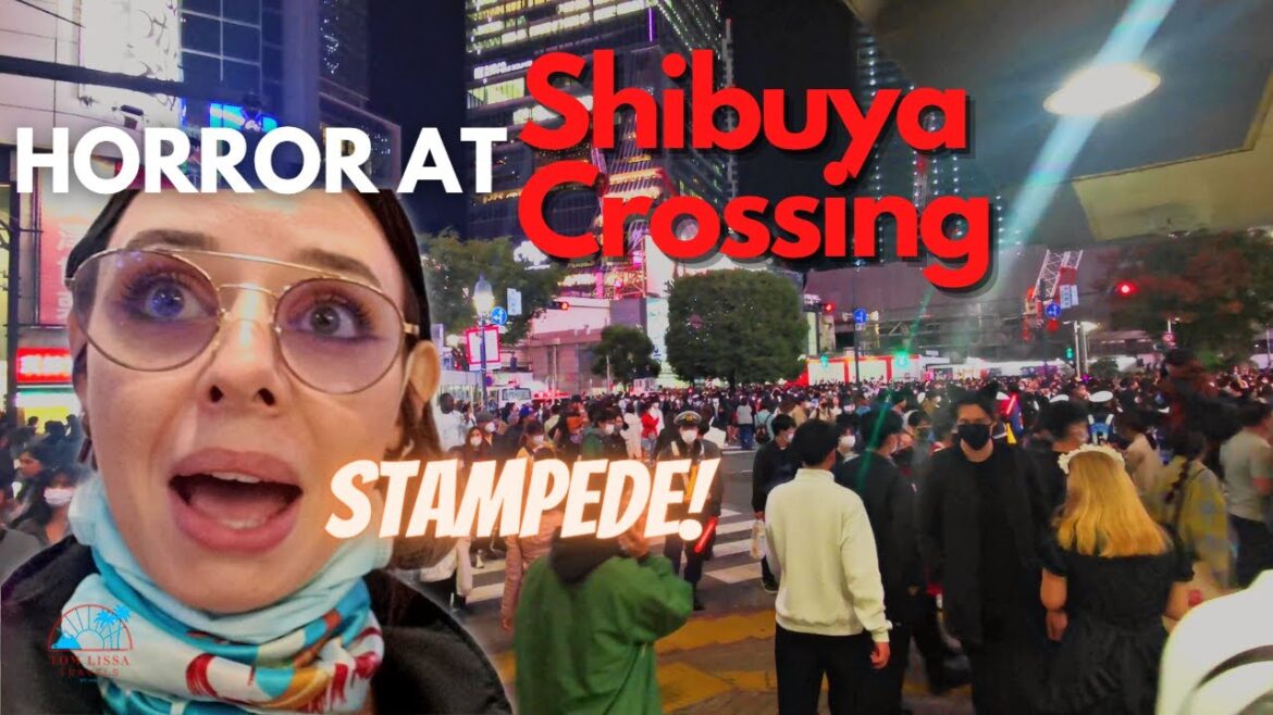 Should this be legal?! | Akihabara | Tokyo | Japan 2022