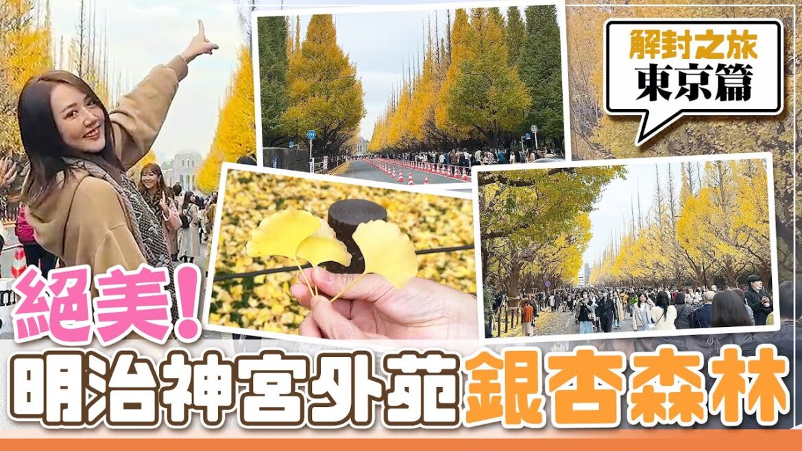 【東京之旅】解鎖東京最火夜店！日本KTV居然長這樣！？跟著排隊仔一起吃人氣餐廳！還有東京神宮外苑必拍銀杏大道，真的好美呀！【Day14東京】