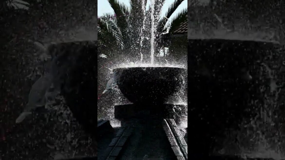 Best Places to Visit in Mexico – Travel Video #shorts #travel #mexico Best Places to Visit in Mexico - Travel Video #shorts #travel #mexico