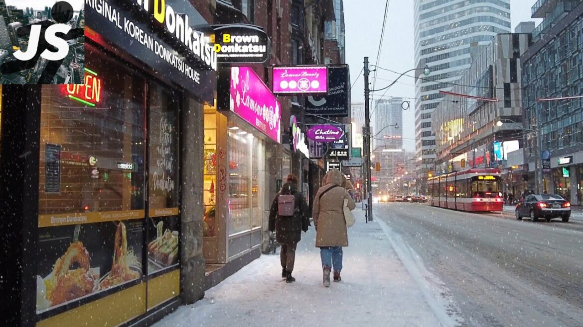 Toronto Winter Storm Walk | Queen & University to Wellesley (Dec 2022) Toronto Winter Storm Walk | Queen & University to Wellesley (Dec 2022)