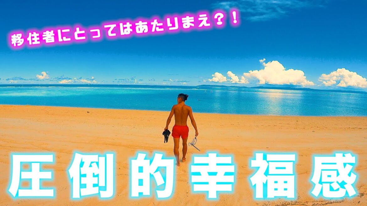 【石垣島移住したい人必見】移住者だけが出来るQOL爆上がりな休日の過ごし方 【石垣島移住したい人必見】移住者だけが出来るQOL爆上がりな休日の過ごし方