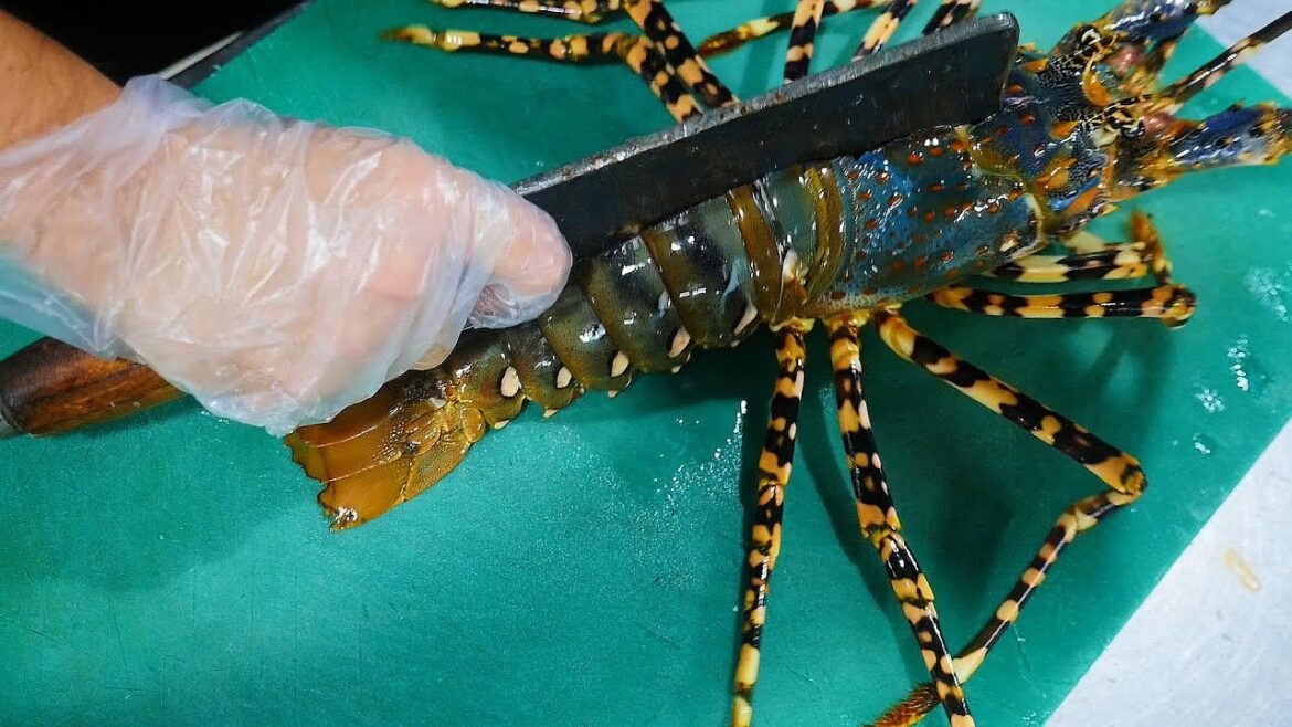 JAPAN Seafood Expensive Giant RAINBOW LOBSTER Cooked with CHEESE!!+Scallops - Vietnamese Street Food