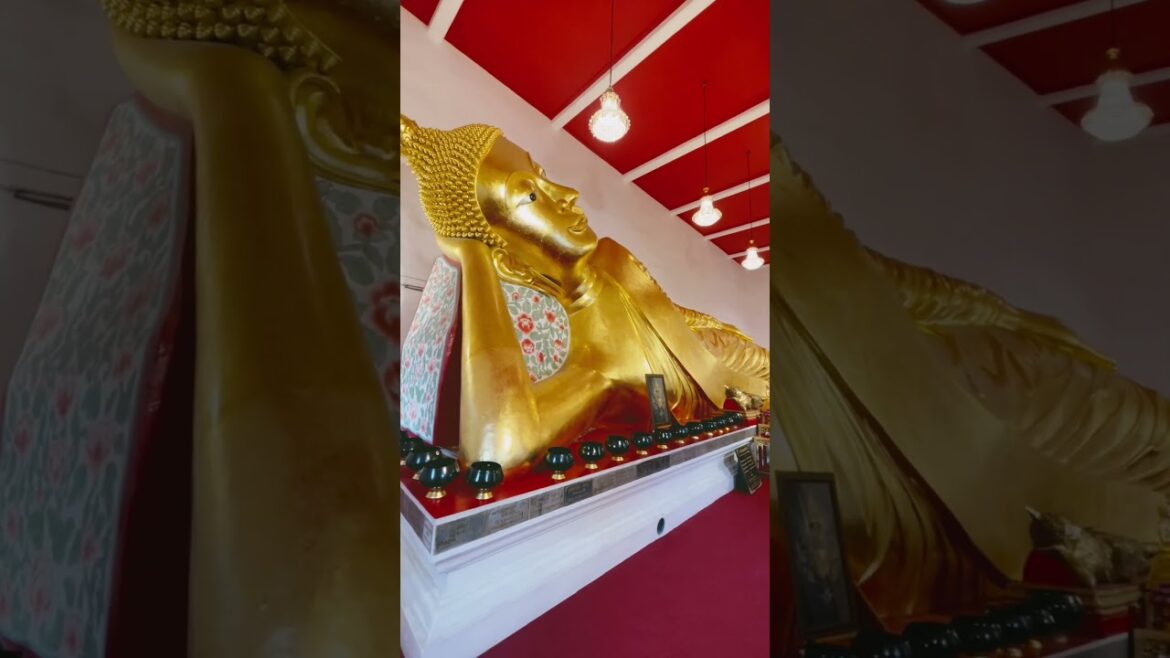 The Reclining Buddha – Bangkok Thailand 🇹🇭 #shorts The Reclining Buddha - Bangkok Thailand 🇹🇭 #shorts