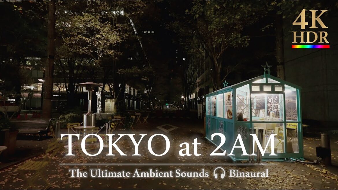 Walking tour in tokyo 🌙 at 2AM //4K HDR ASMR