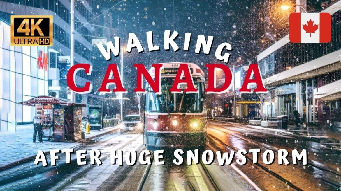 Canadian Winter Wonderland | 4K Walk Through Toronto's Snowy Streets Canadian Winter Wonderland | 4K Walk Through Toronto's Snowy Streets