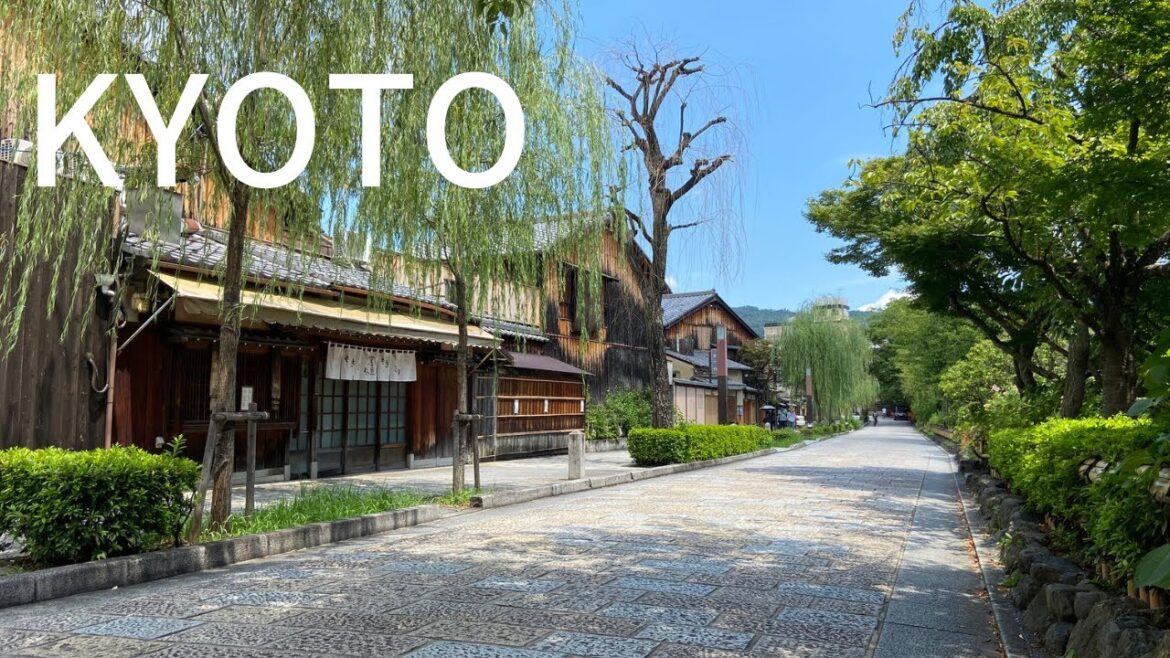 【KYOTO】recommendation of tourist attraction in Kyoto by Japanese local 【Shirakawa street】