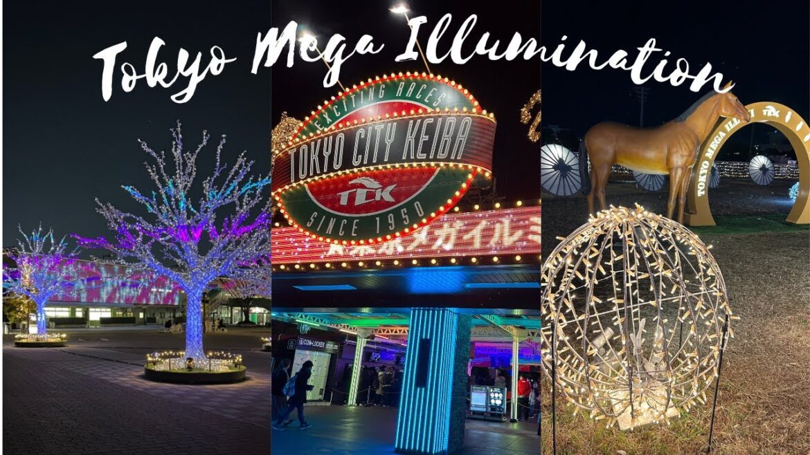 Tokyo Mega Illumination | Tokyo City Keiba | Christmas Lighting | Travel Tokyo Mega Illumination | Tokyo City Keiba | Christmas Lighting | Travel