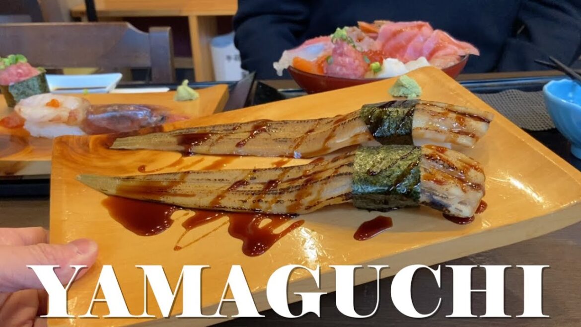 Travel & Seafood in Japan - TOXIC Pufferfish Sashimi and Sushi┃Yamaguchi