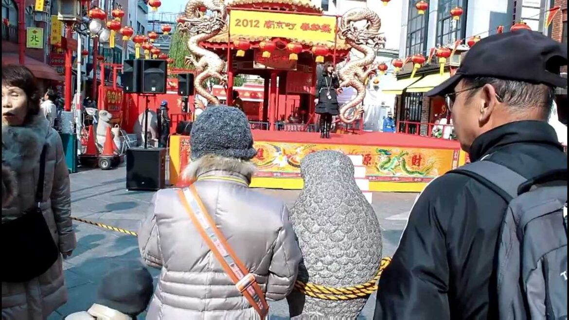 China Town - Kobe Japan ( T2i + Hague MMC )