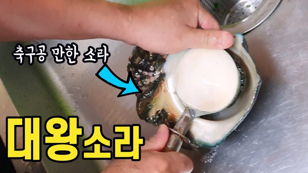 축구공 만한 소라 보셨습니까?! 일본 오키나와 대왕소라를 먹어봤습니다! 日本旅行 沖縄県 japan travel okinawa 축구공 만한 소라 보셨습니까?! 일본 오키나와 대왕소라를 먹어봤습니다! 日本旅行 沖縄県 japan travel okinawa