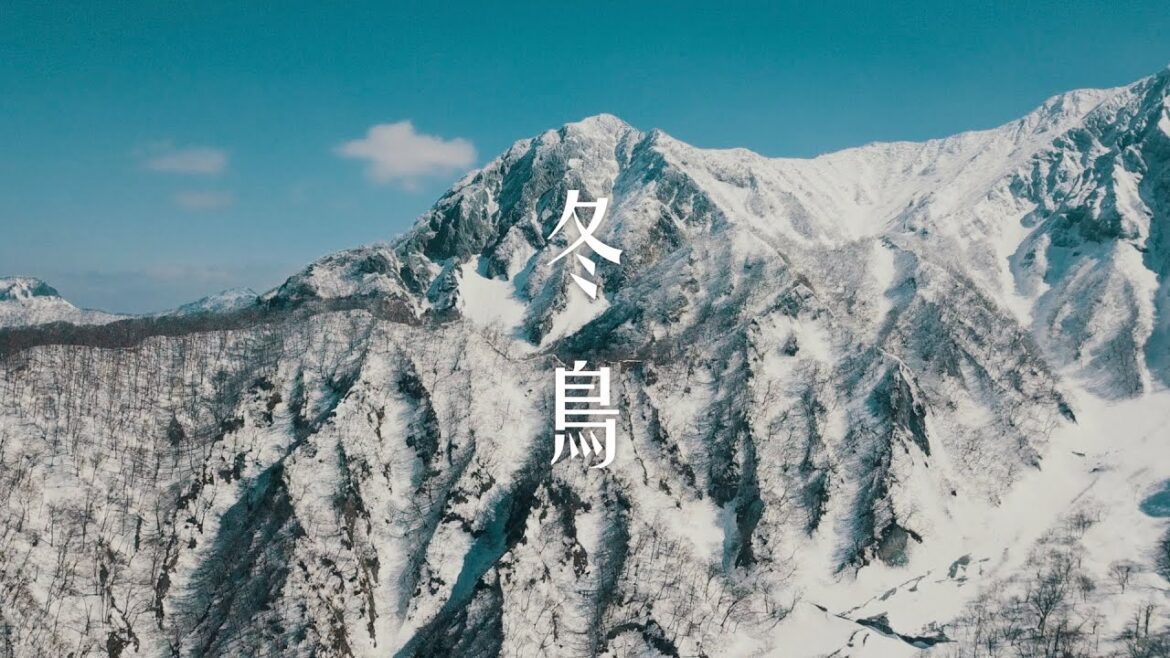 冬鳥：日本鳥取縣